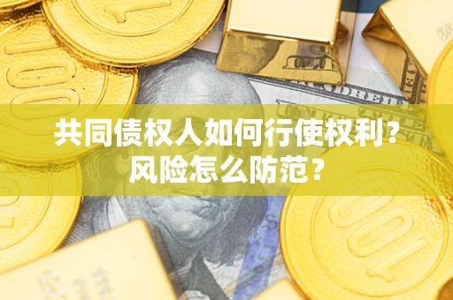 济南共同债权人如何行使权利？风险怎么防范？