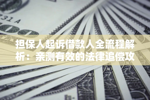 济南担保人起诉借款人全流程解析：亲测有效的法律追偿攻略