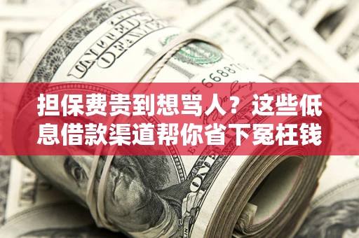 济南担保费贵到想骂人？这些低息借款渠道帮你省下冤枉钱