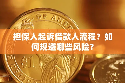 济南担保人起诉借款人流程？如何规避哪些风险？
